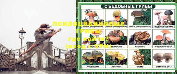 эйфоретик Балахна