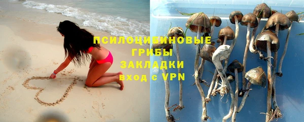 бошки Баксан