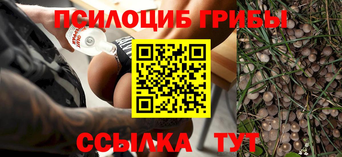 Псилоцибиновые грибы мицелий  Псилоцибиновые грибы MAGIC MUSHROOMS  Вход с VPN  Калуга 